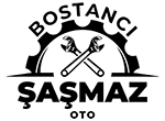 bostancı şaşmaz oto logo